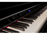 <b>Piano cauda digital eletrónico Roland GP-6 PE Preto Polido design acabamentos luxuosos BEST-SELLER</b> <b>Piano cauda digital eletrónico Roland GP-6 PE Preto Polido design acabamentos luxuosos BEST-SELLER</b>